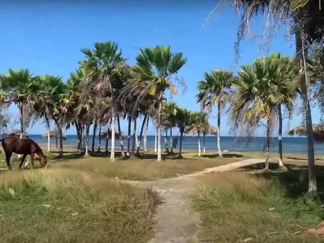 شاطئ لوس بينوس
